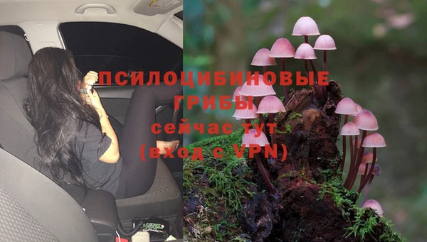 каннабис Алексеевка