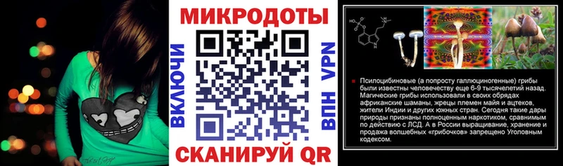 где найти   Анапа  Галлюциногенные грибы Cubensis 